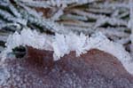 Frost08-12-31-034